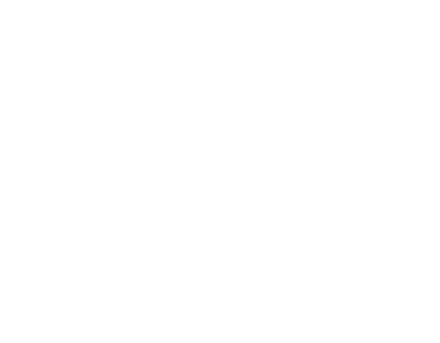 Meta Technology Partner